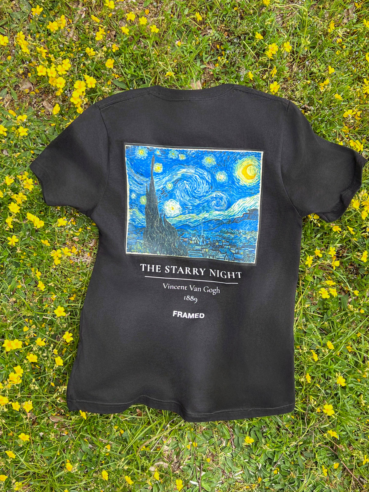 THE STARRY NIGHT