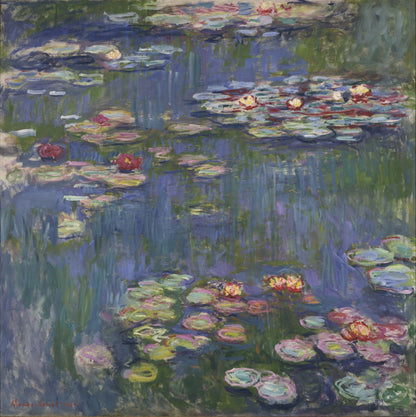 WATER LILIES