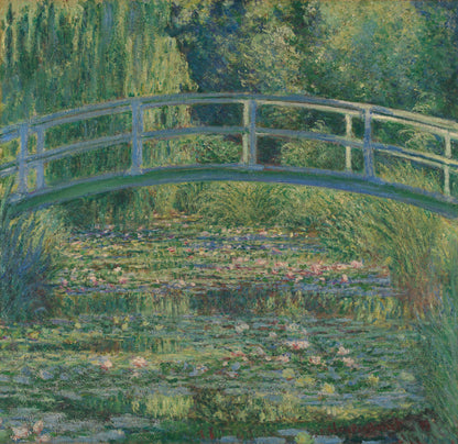 THE LILY POND